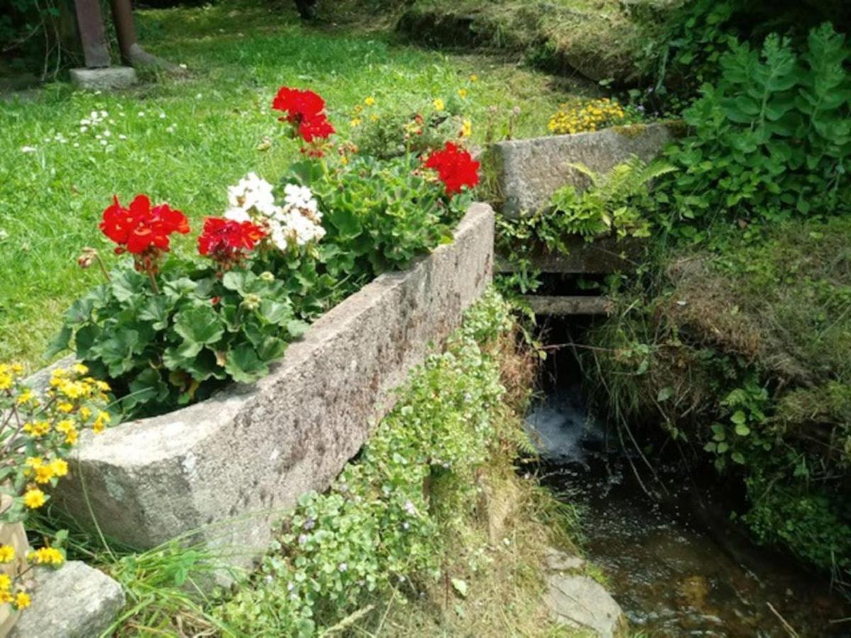 Villa Chaloupka Na Konci Sveta Raskov Exterior foto